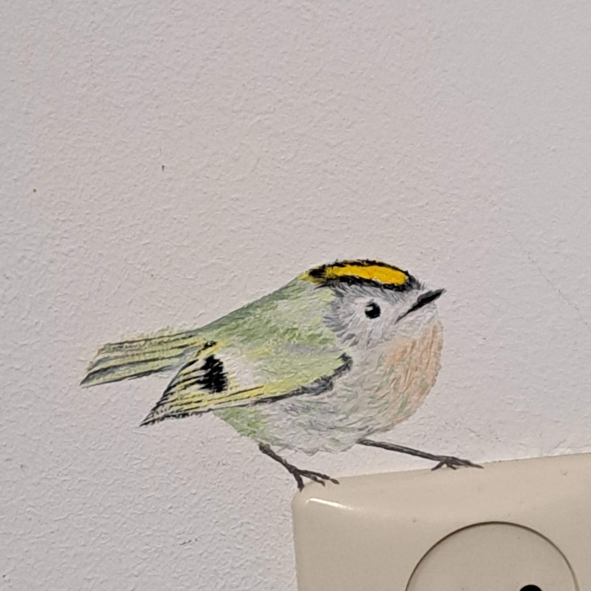 Vogeltje muurschildering